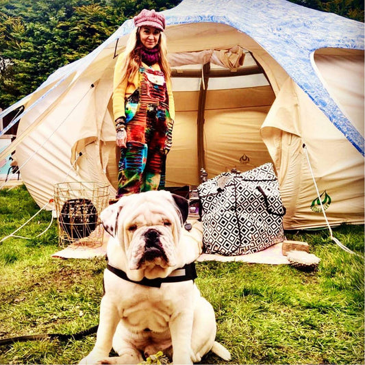 Interview: The Little Hippy Tent Company - Lotus Belle Tents UK